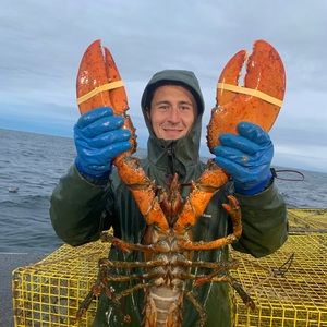 Meet your Posher, Cody